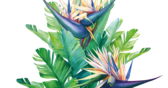 Festival Paroles de Plantes