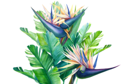 Festival Paroles de Plantes : devenez bénévole à l'événement !
