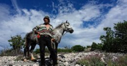 Ciné-Club du réel "Les nouvelles aventures des plantes dans les Balkans"